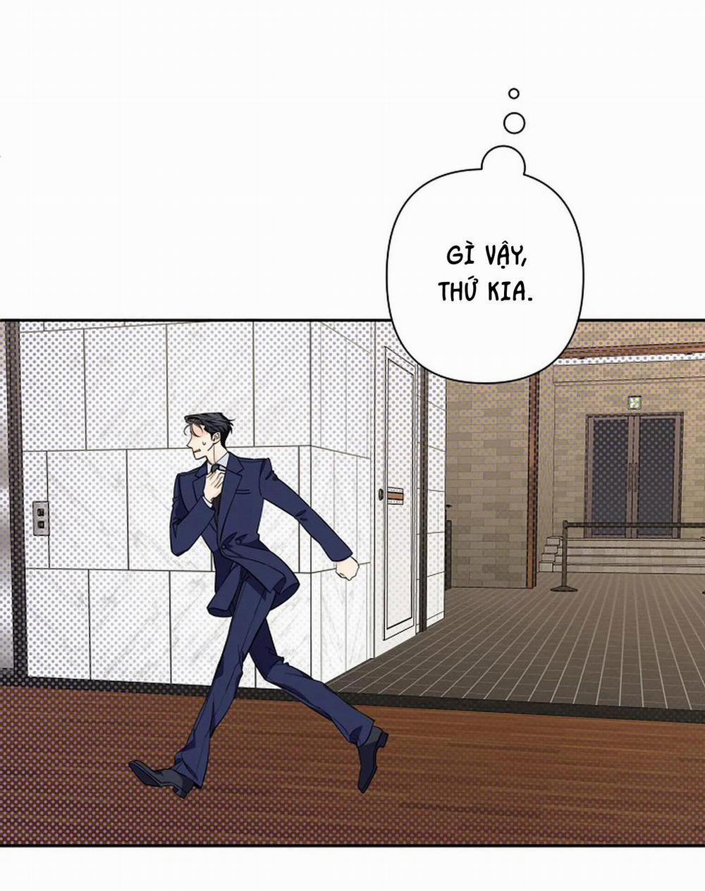 Đêm Dịu Dàng 48 trang 7