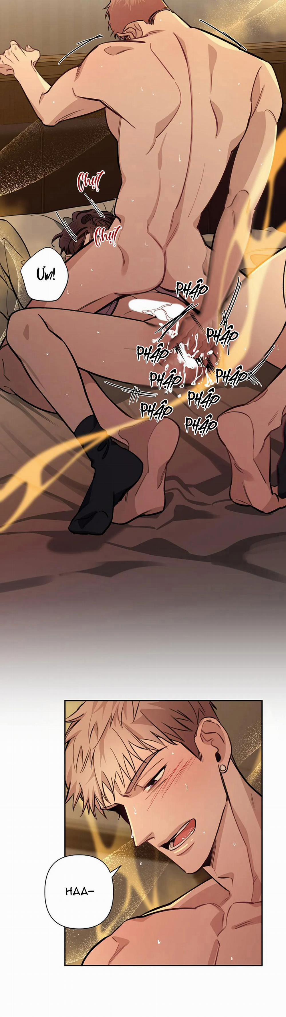 Đêm Dịu Dàng 49 trang 13