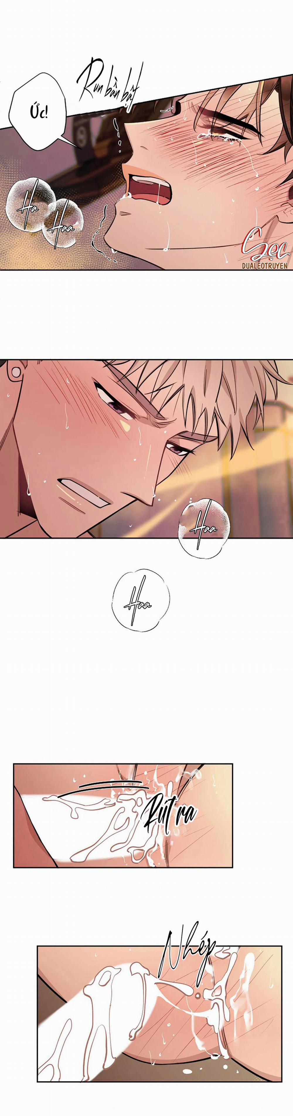 Đêm Dịu Dàng 50 trang 17