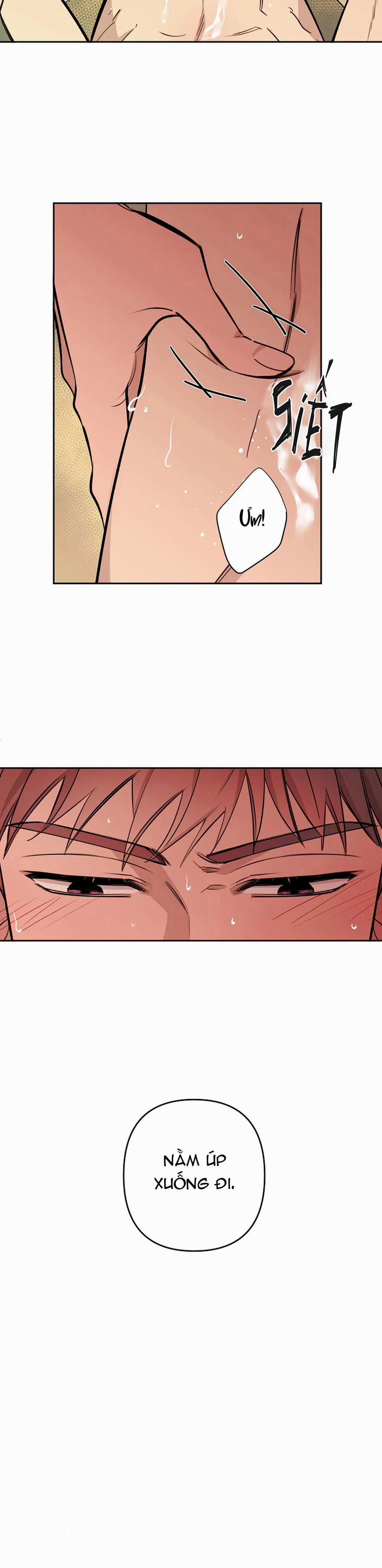Đêm Dịu Dàng 50 trang 19