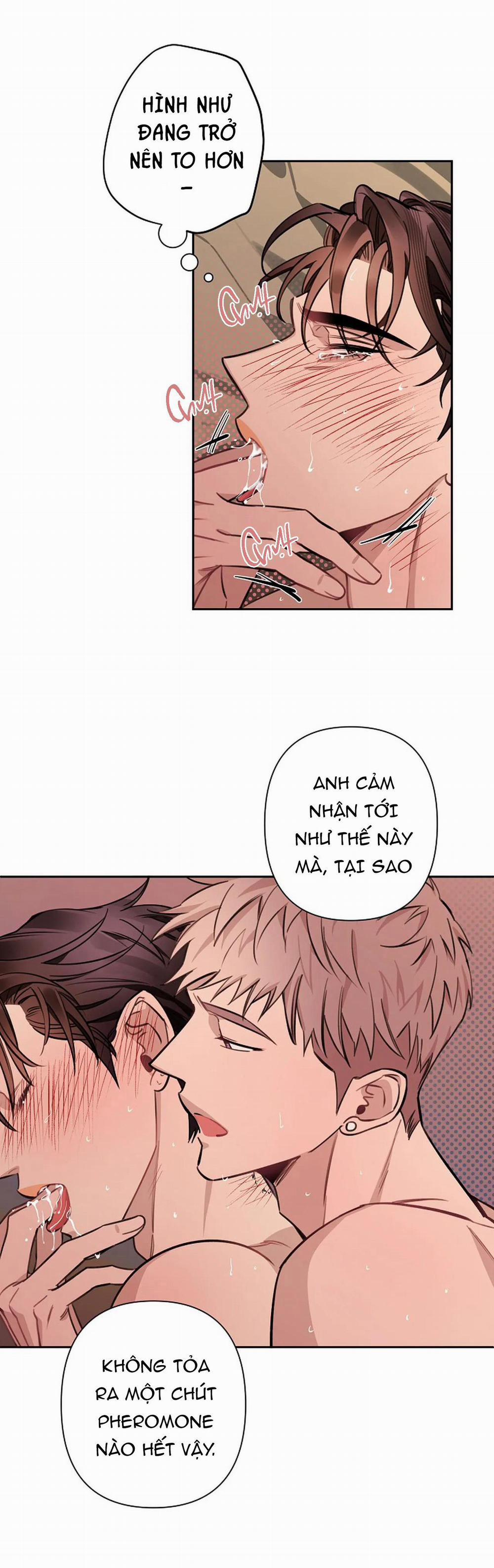 Đêm Dịu Dàng 51 trang 13