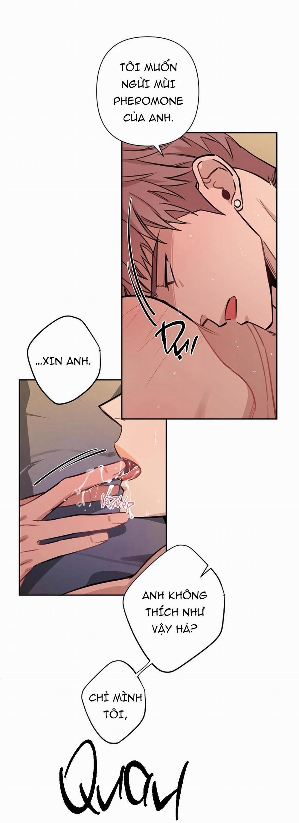 Đêm Dịu Dàng 51 trang 14