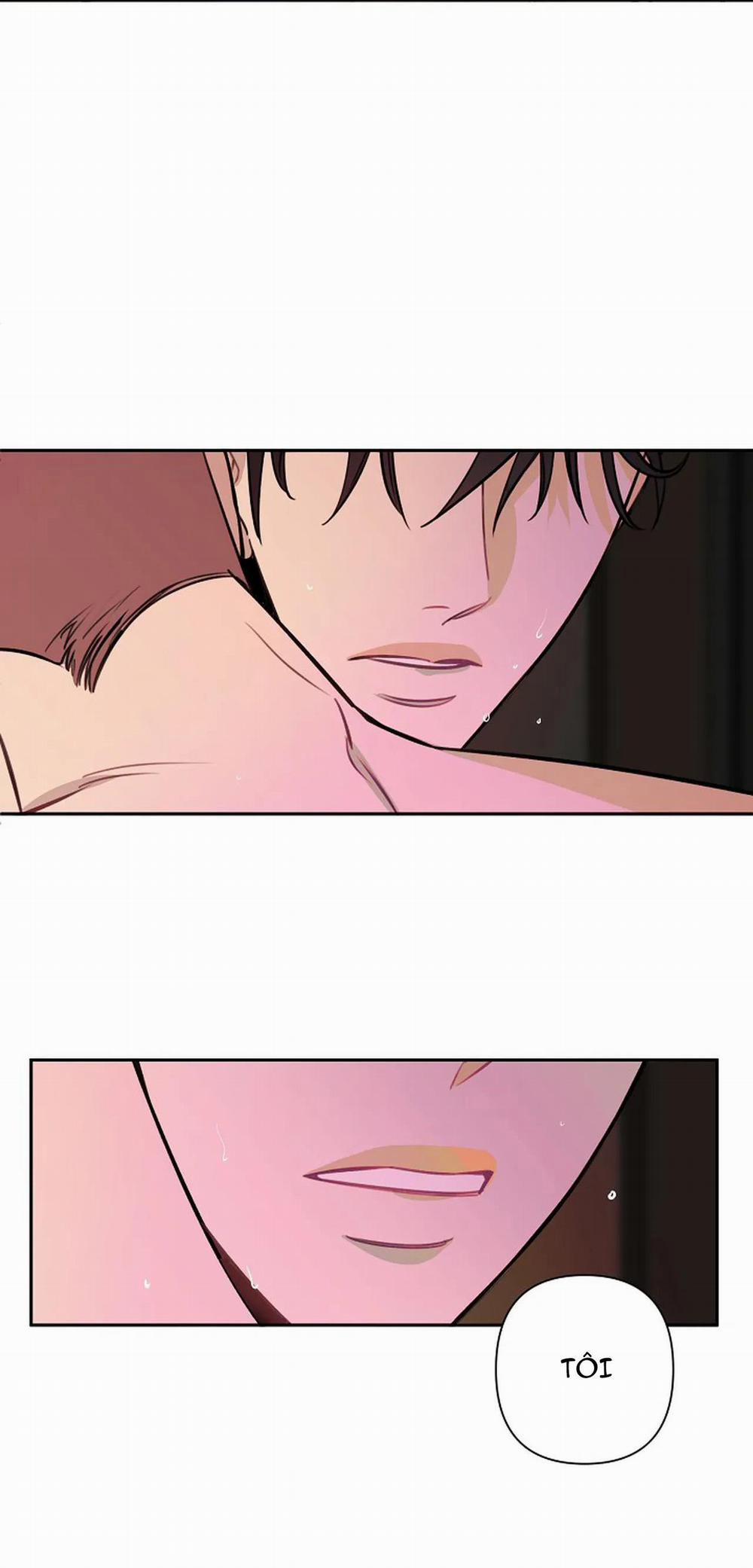 Đêm Dịu Dàng 51 trang 21