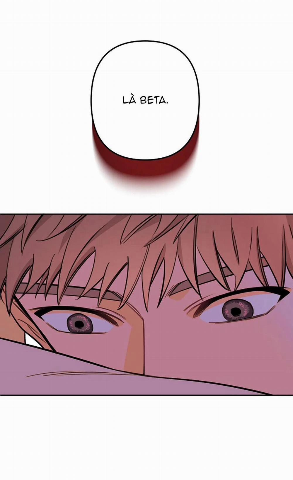 Đêm Dịu Dàng 51 trang 22