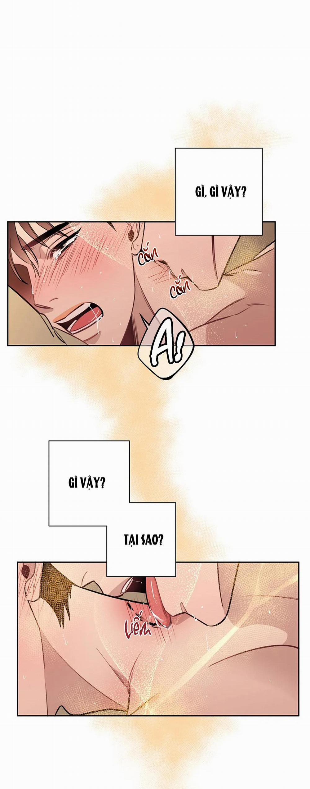 Đêm Dịu Dàng 51 trang 2