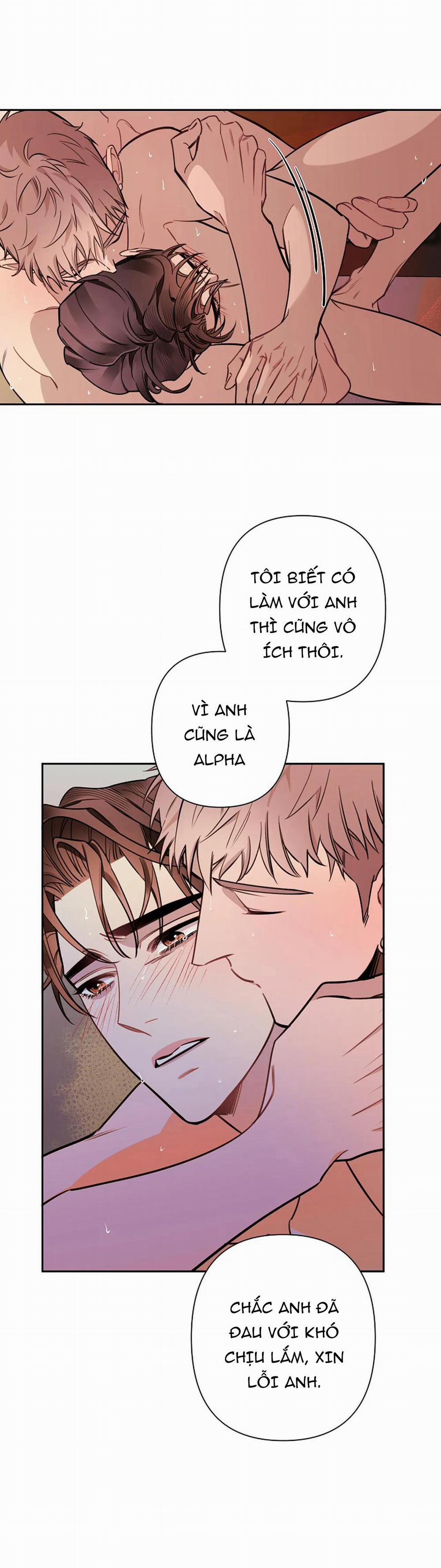 Đêm Dịu Dàng 51 trang 5