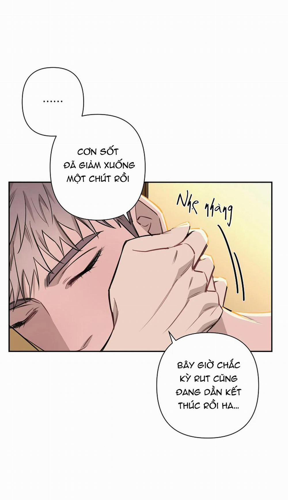 Đêm Dịu Dàng 52 trang 36