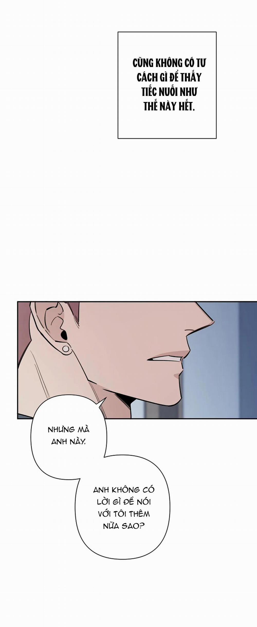 Đêm Dịu Dàng 54 trang 11