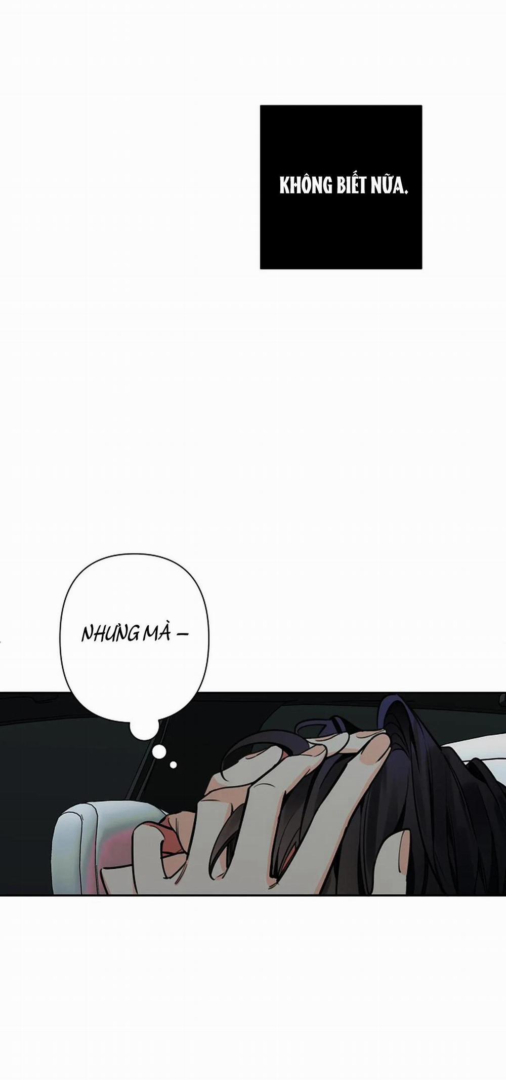 Đêm Dịu Dàng 54 trang 21