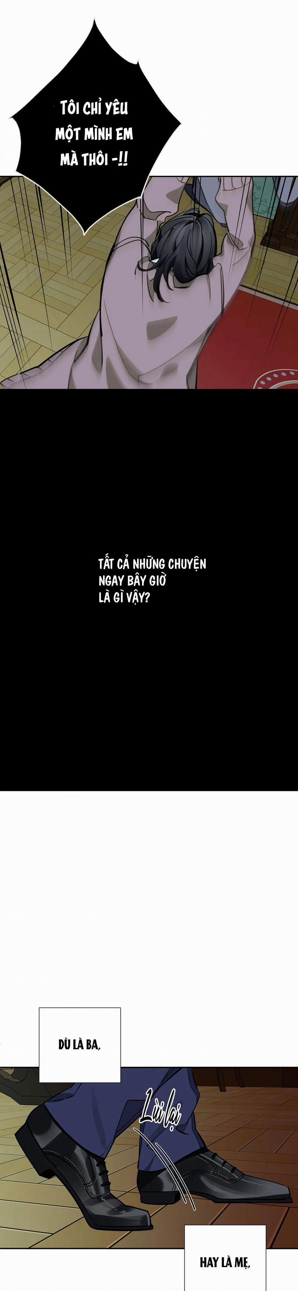 Đêm Dịu Dàng 55 trang 20