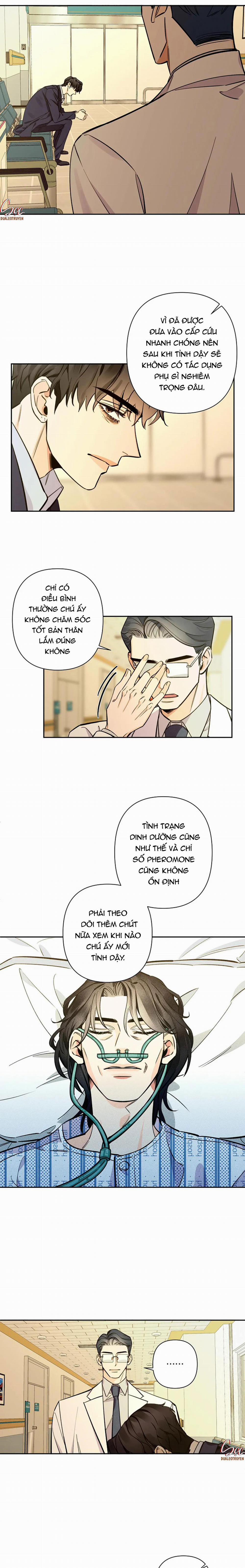 Đêm Dịu Dàng 56 trang 9