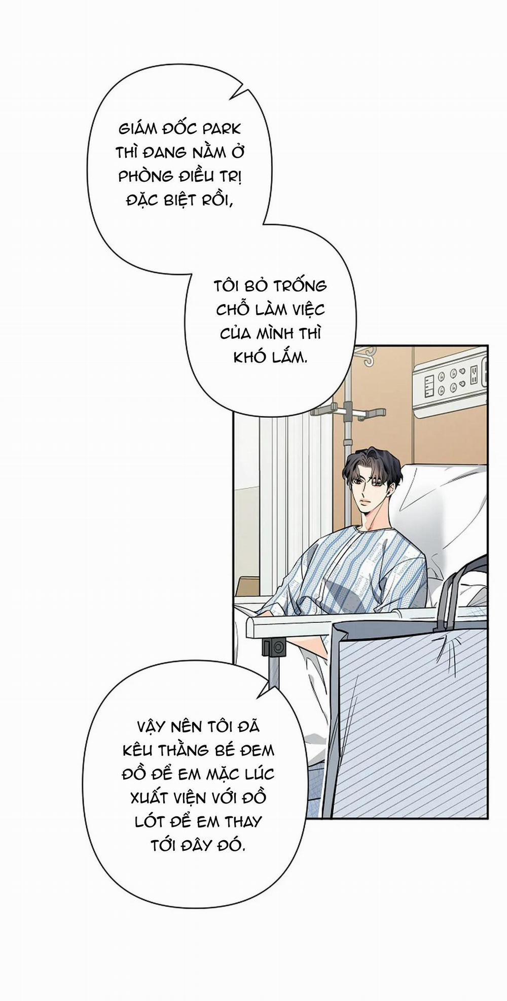 Đêm Dịu Dàng 59 trang 17