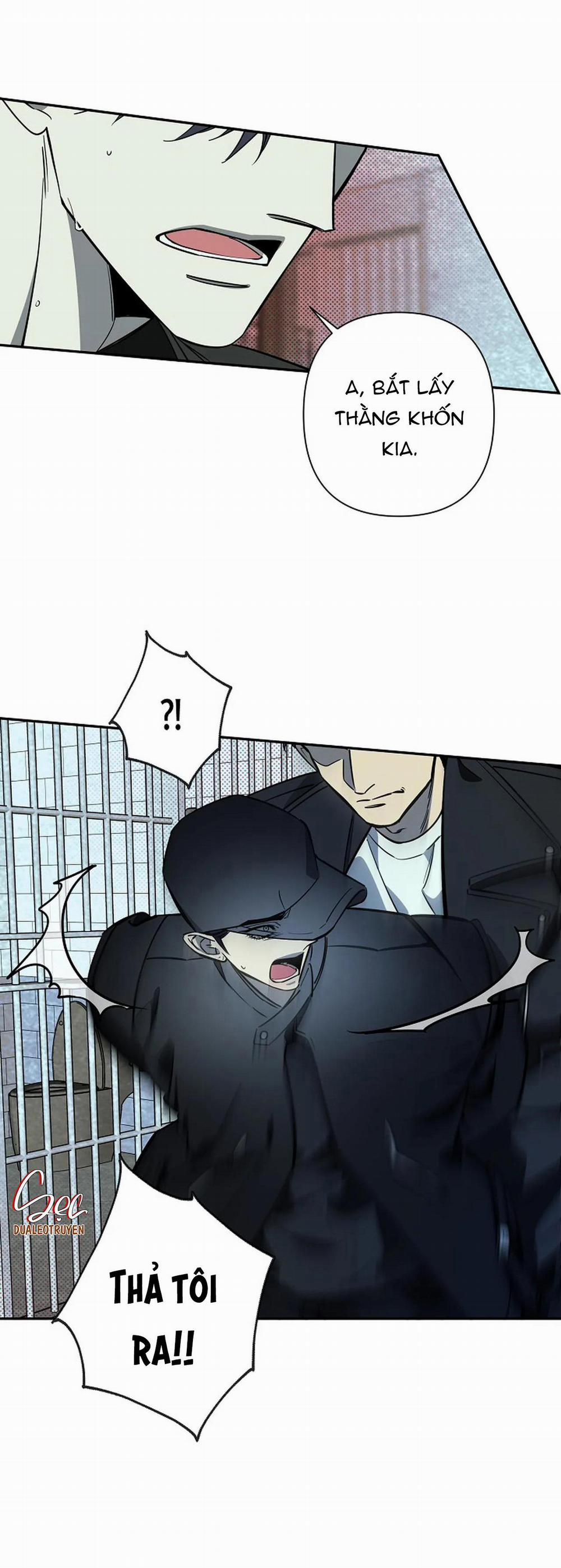 Đêm Dịu Dàng 61 trang 17