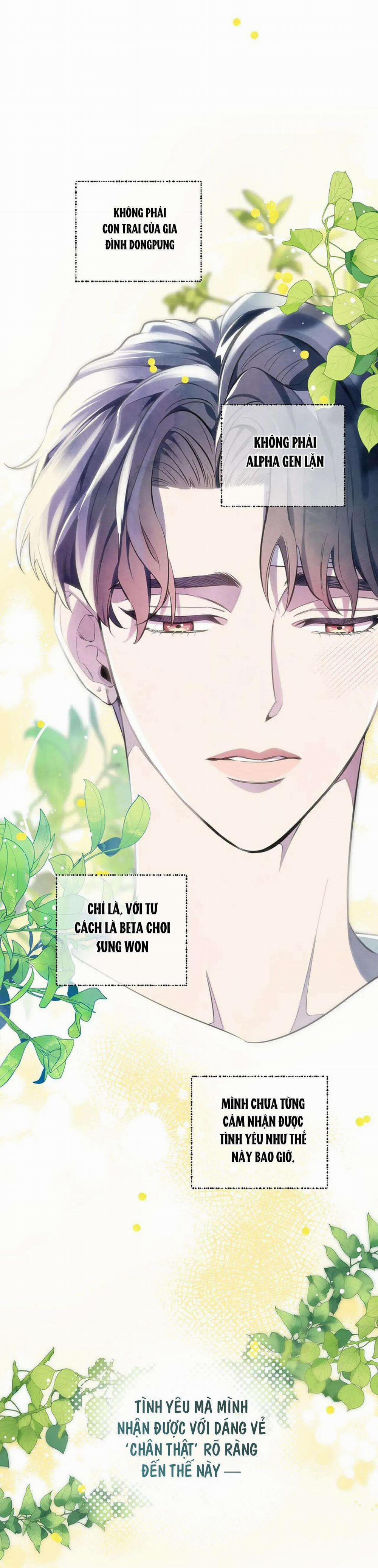 Đêm Dịu Dàng 68 trang 22