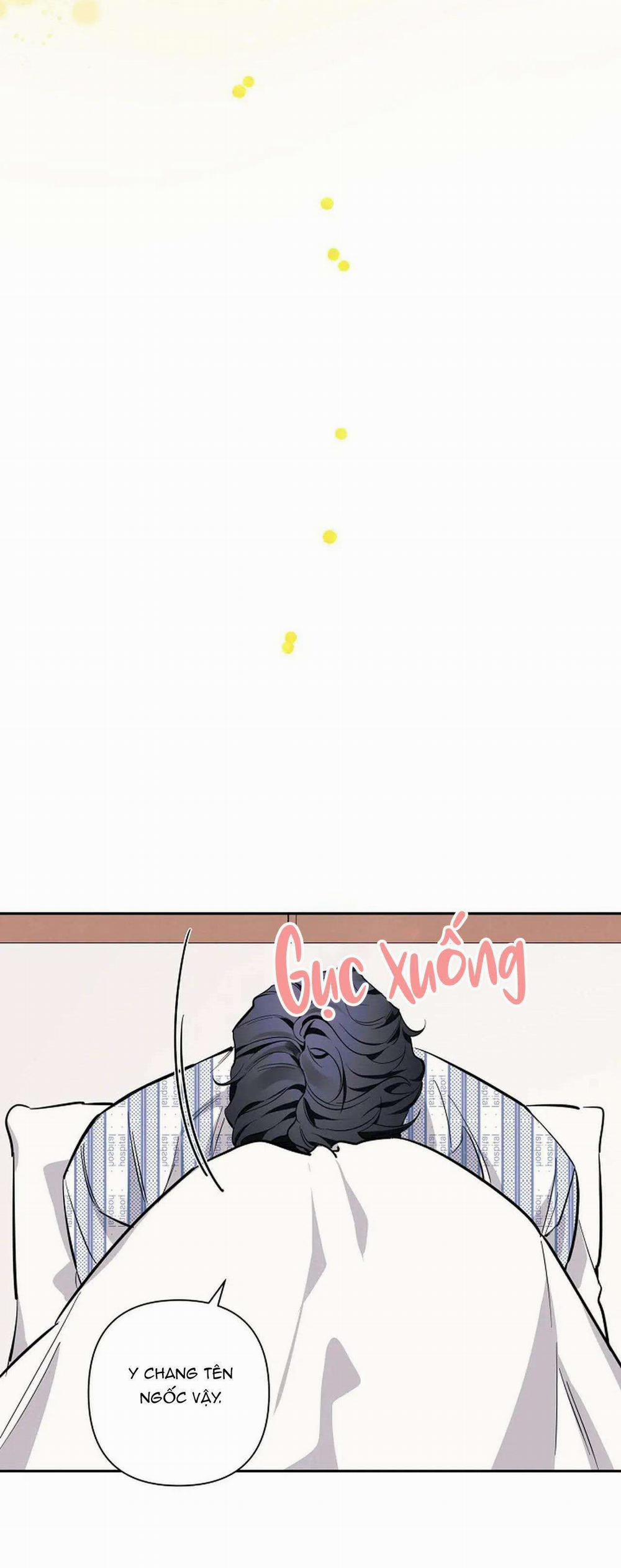 Đêm Dịu Dàng 68 trang 23