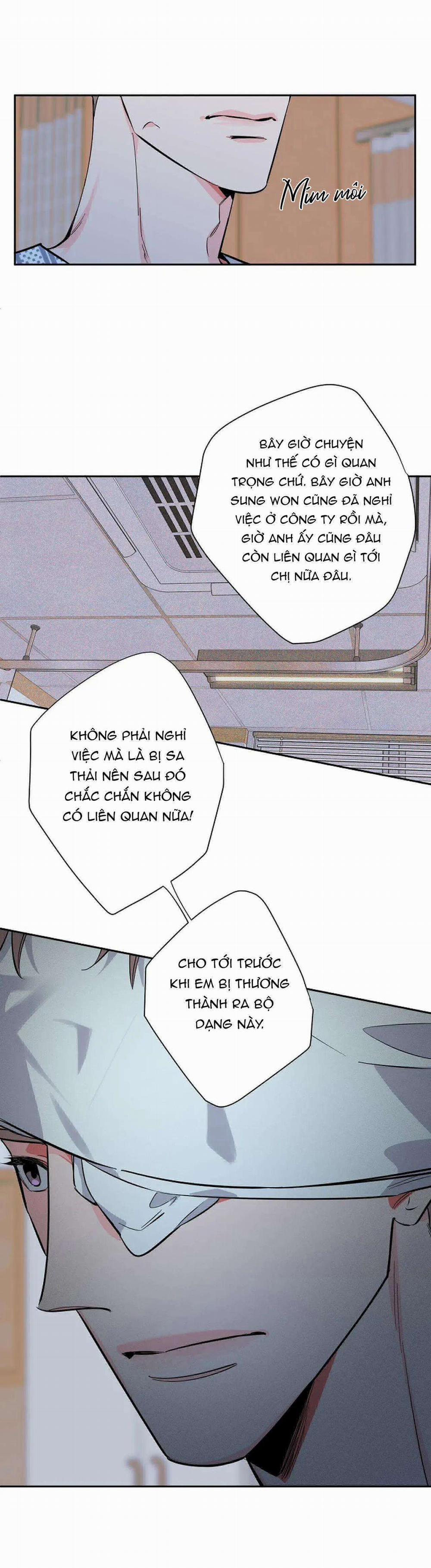 Đêm Dịu Dàng 69 trang 19