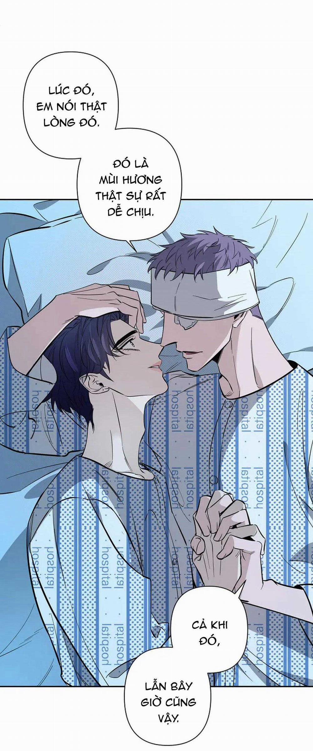 Đêm Dịu Dàng 71 trang 11