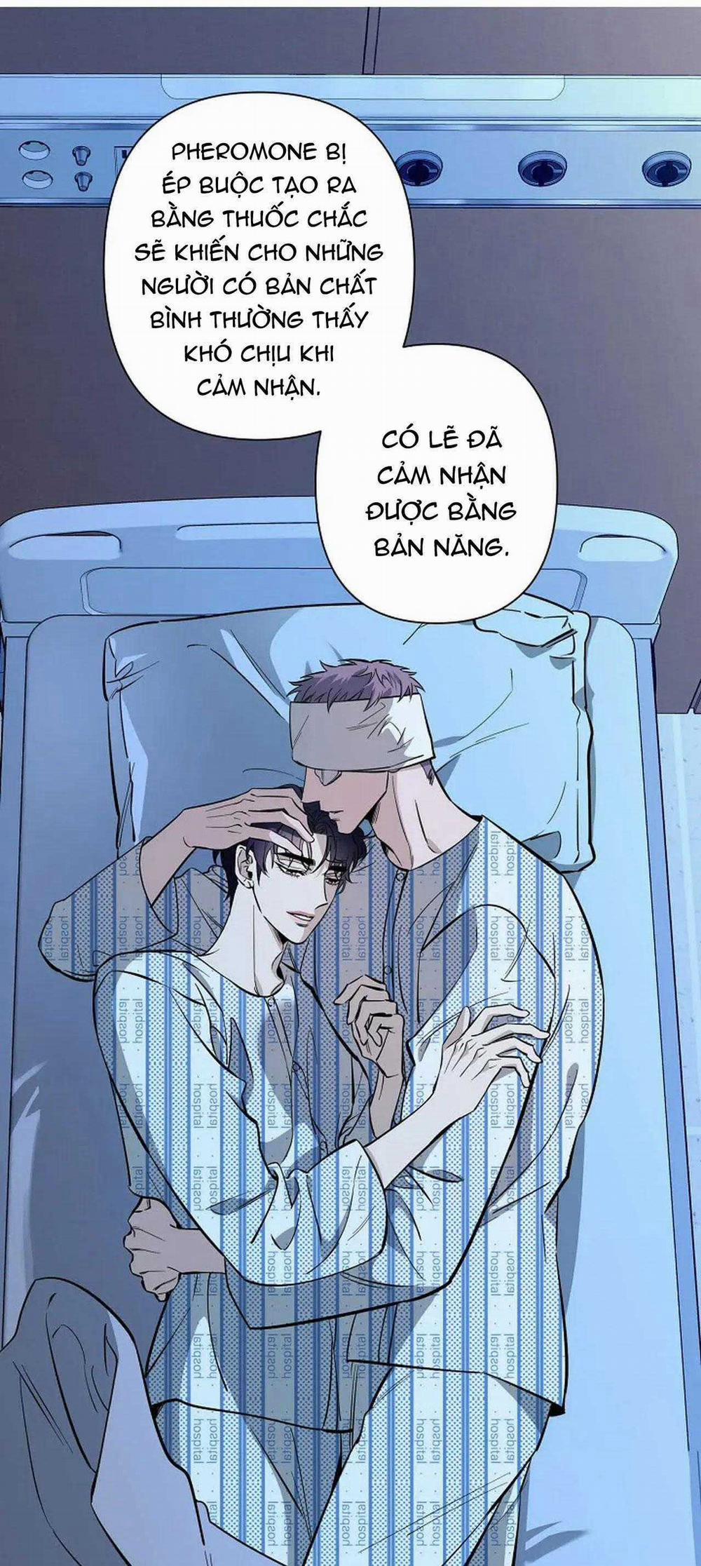 Đêm Dịu Dàng 71 trang 5