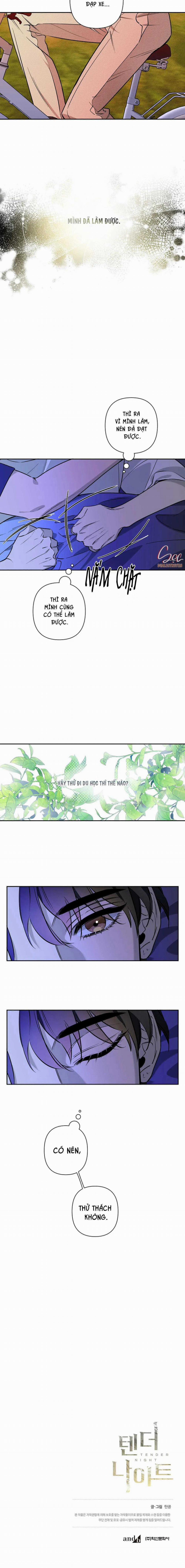 Đêm Dịu Dàng 77 trang 21