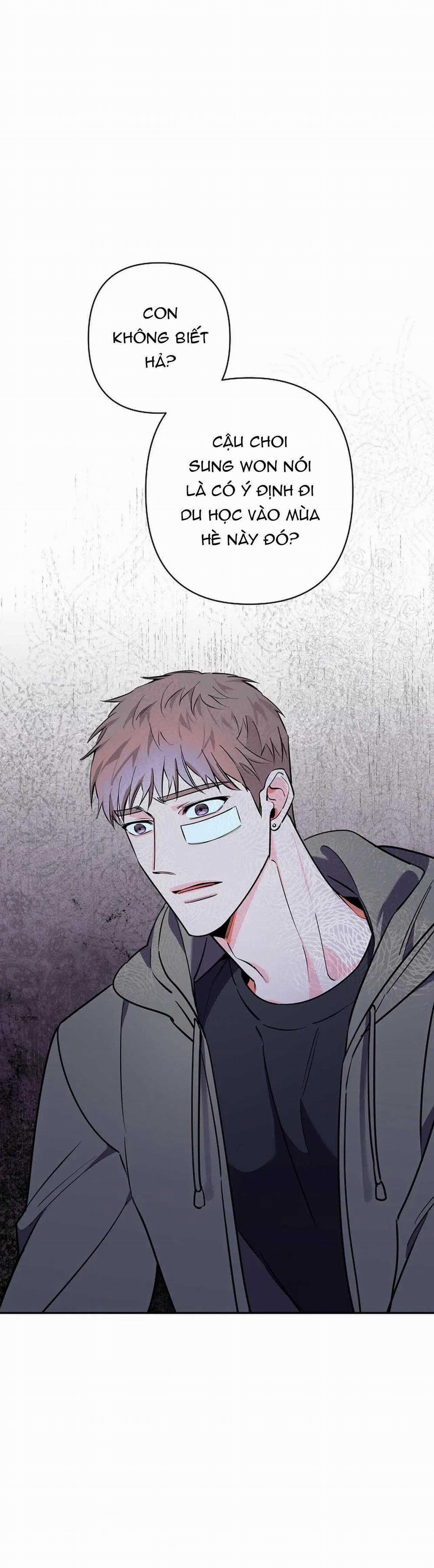 Đêm Dịu Dàng 79 trang 4