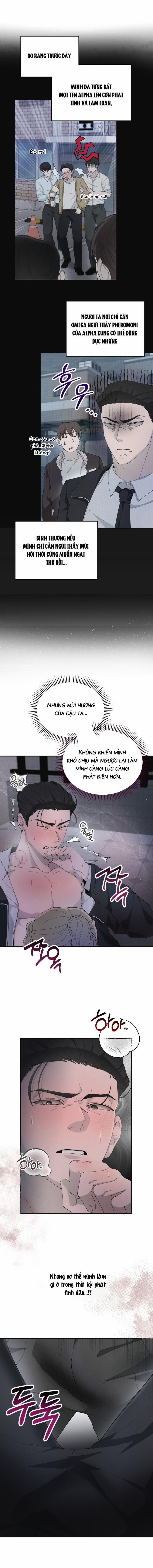 Đêm Hành Động Của Thám Tử Omega 2 trang 5