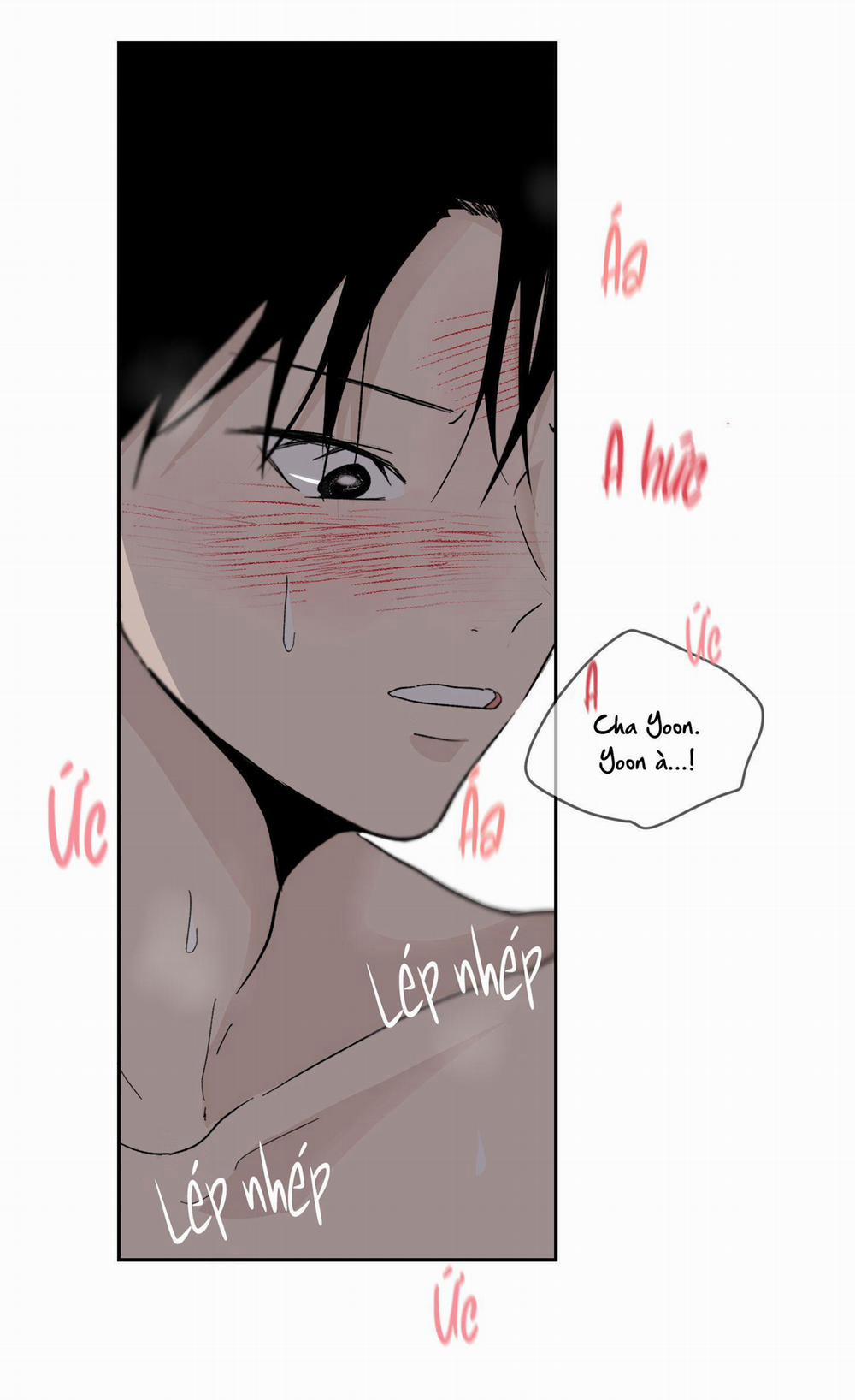 Đêm Mùa Hè Có Hoa Lupin 10 trang 1