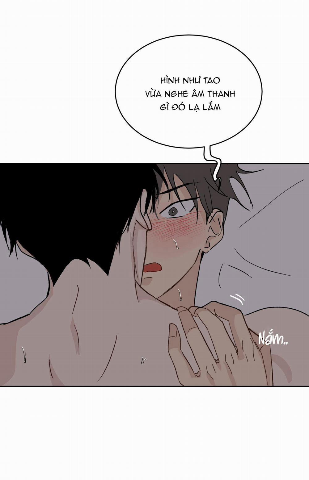 Đêm Mùa Hè Có Hoa Lupin 11 trang 1