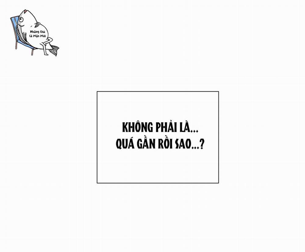 Đêm Mùa Hè Có Hoa Lupin 4 trang 0