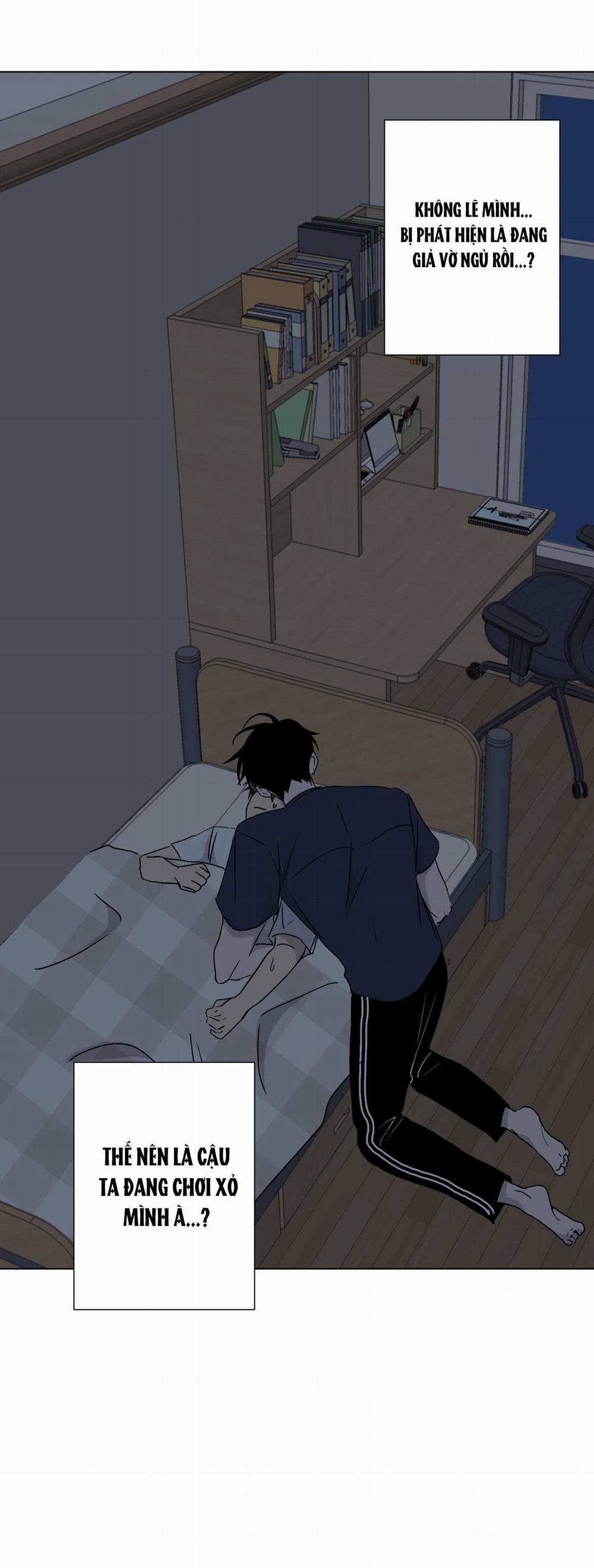Đêm Mùa Hè Có Hoa Lupin 4 trang 1