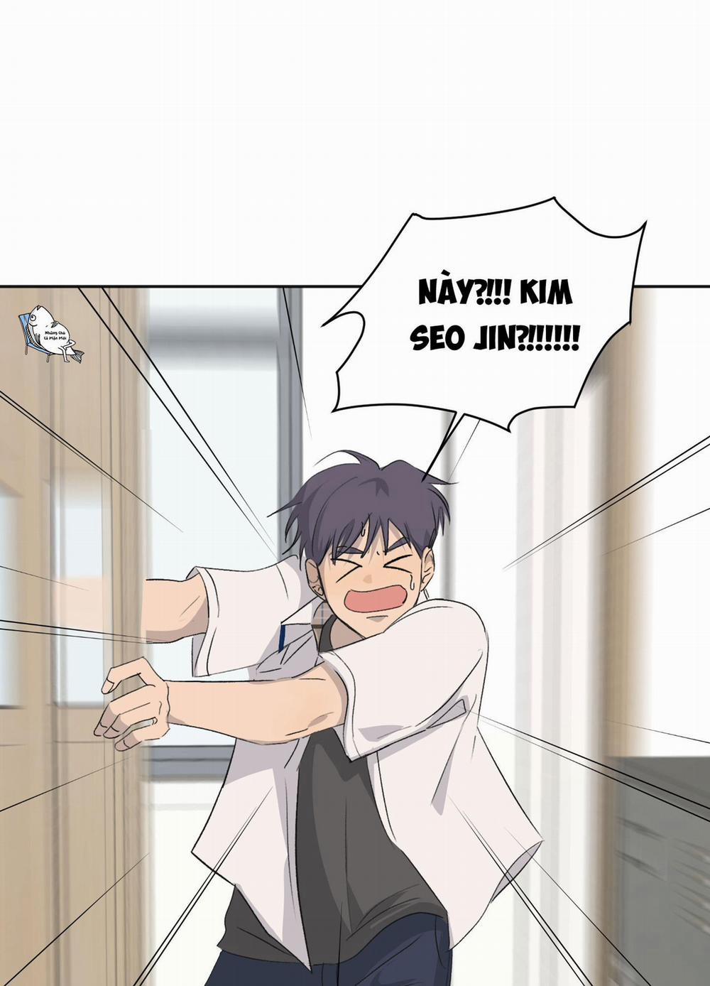Đêm Mùa Hè Có Hoa Lupin 6 trang 0