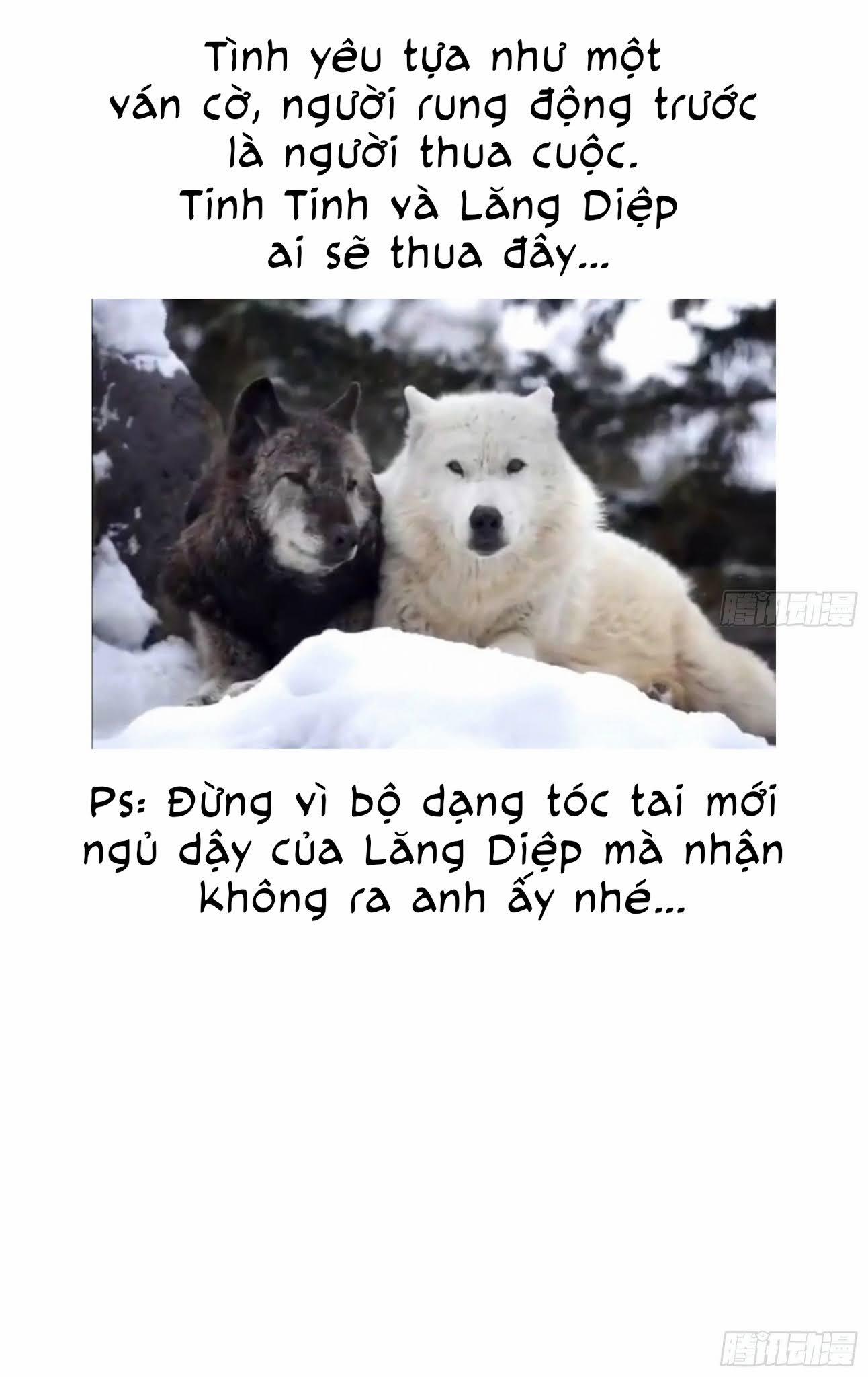 Đêm Sao 12 trang 31