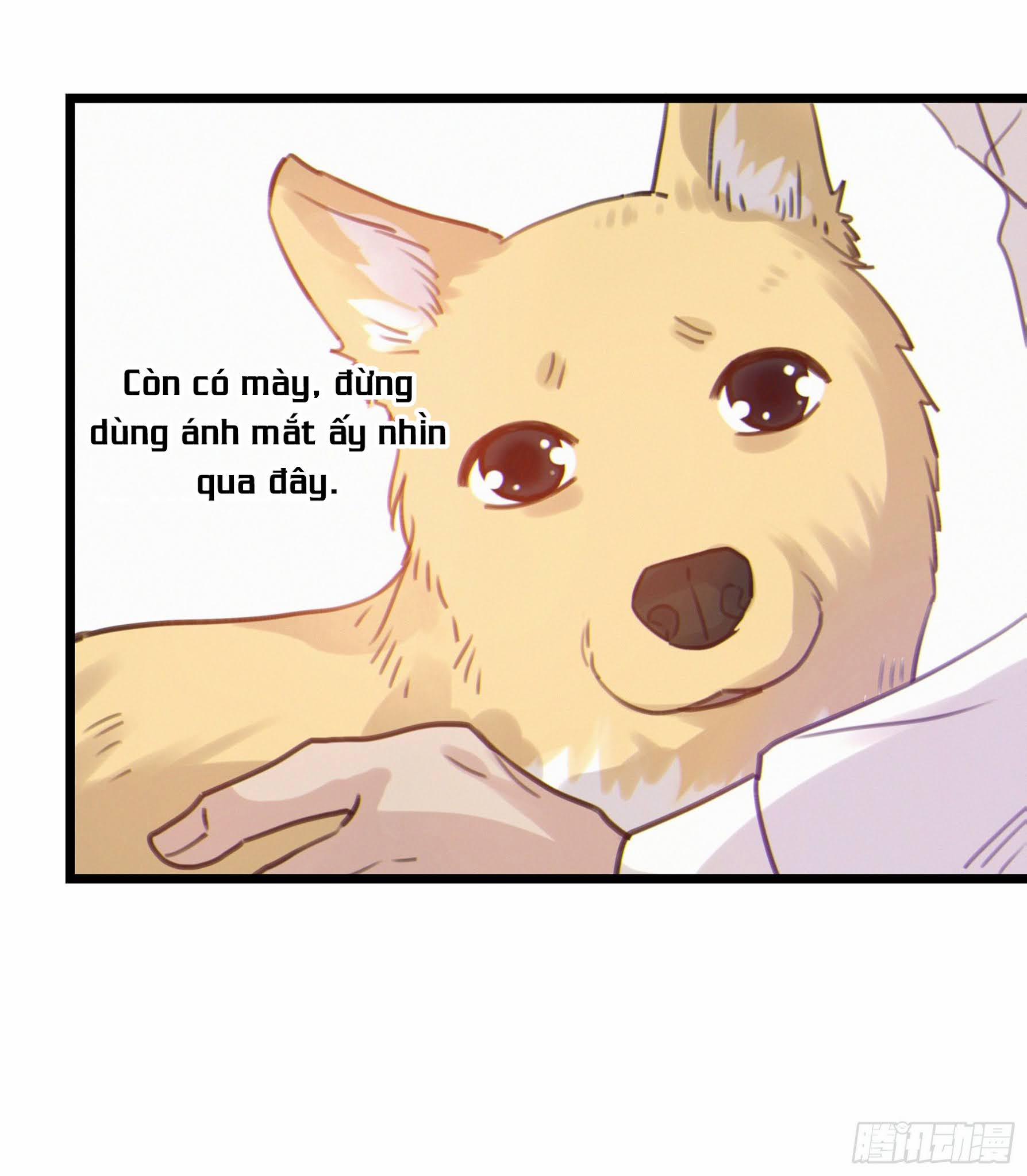 Đêm Sao 15 trang 26