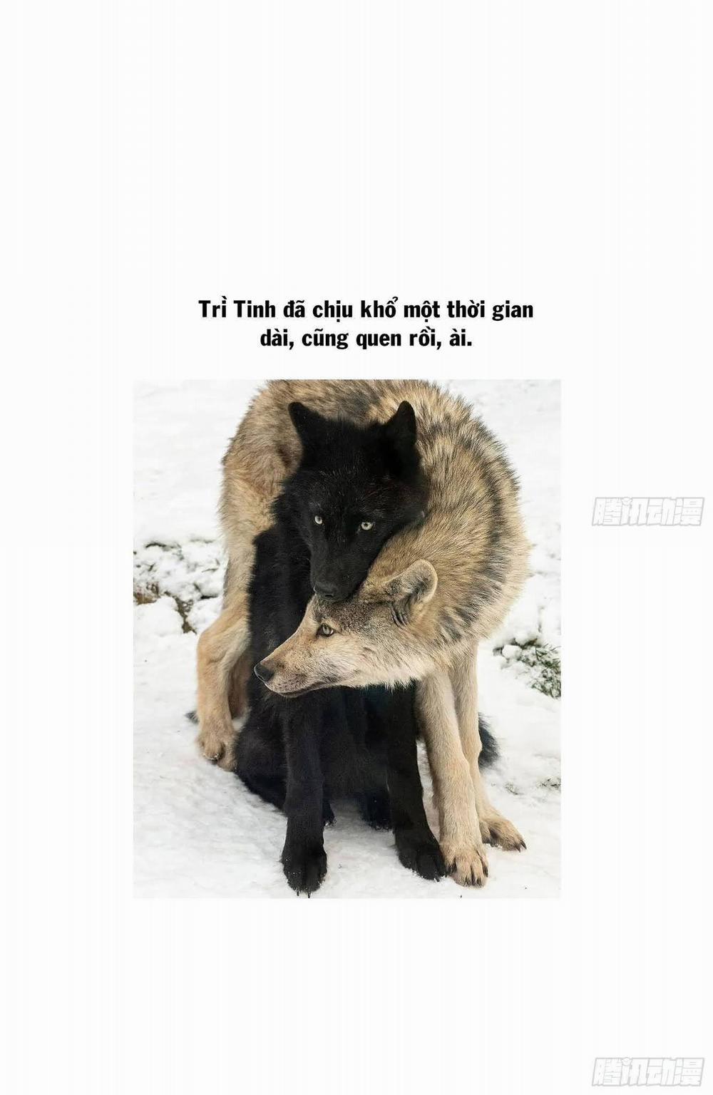 Đêm Sao 15 trang 30