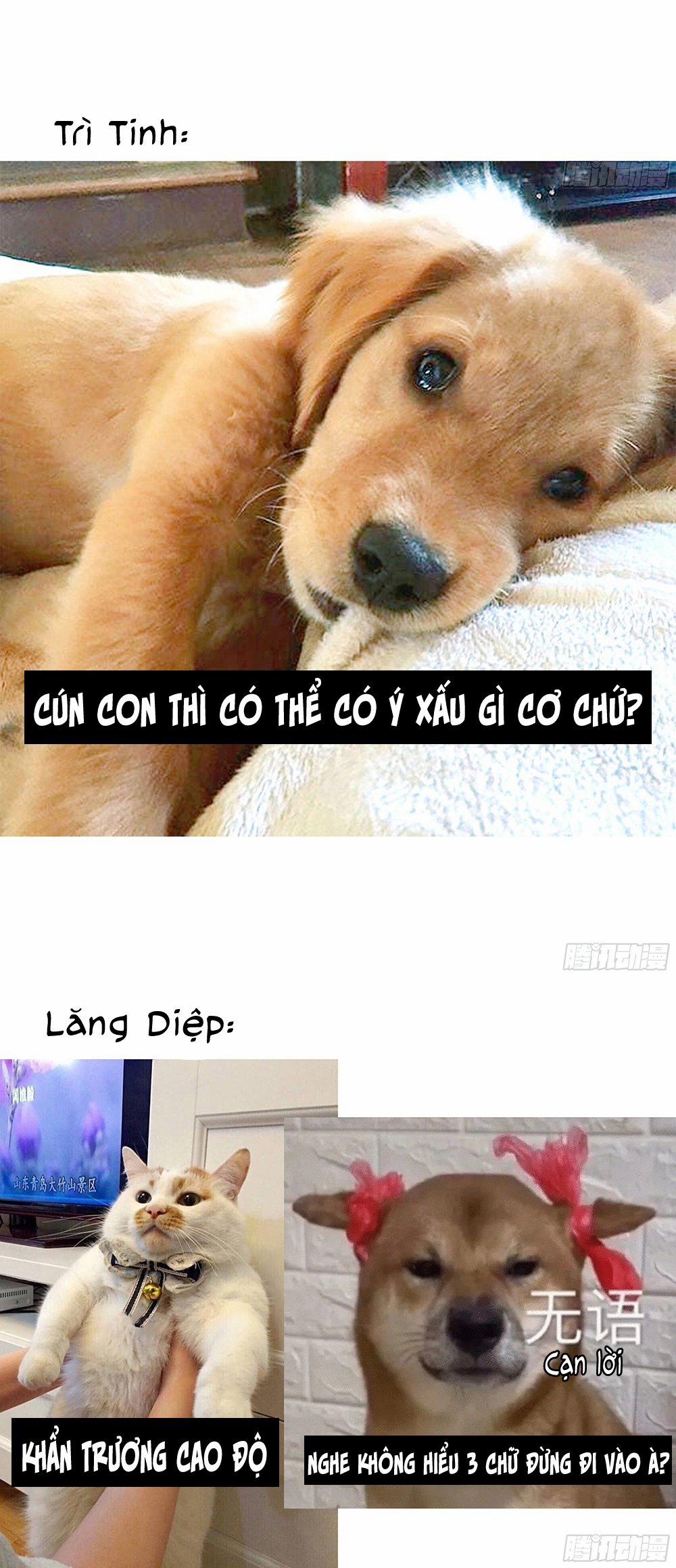 Đêm Sao 21 trang 24