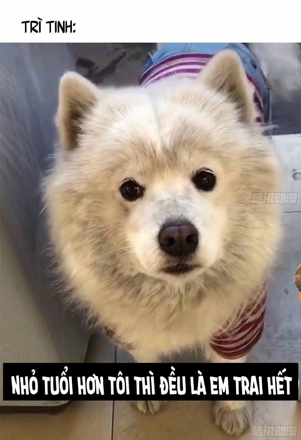 Đêm Sao 22 trang 16