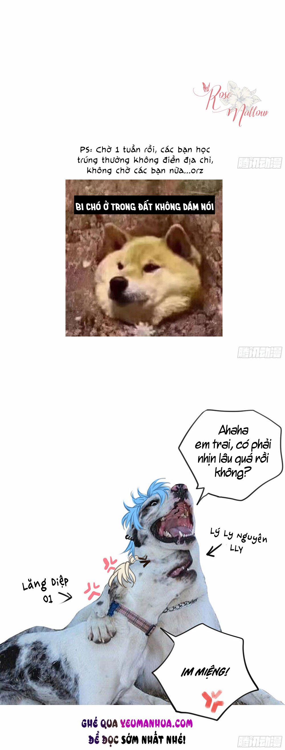 Đêm Sao 27 trang 19