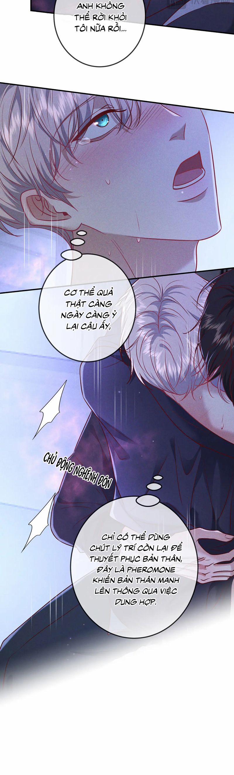 Đêm Tình Yêu Và Sát Ý 49 trang 15