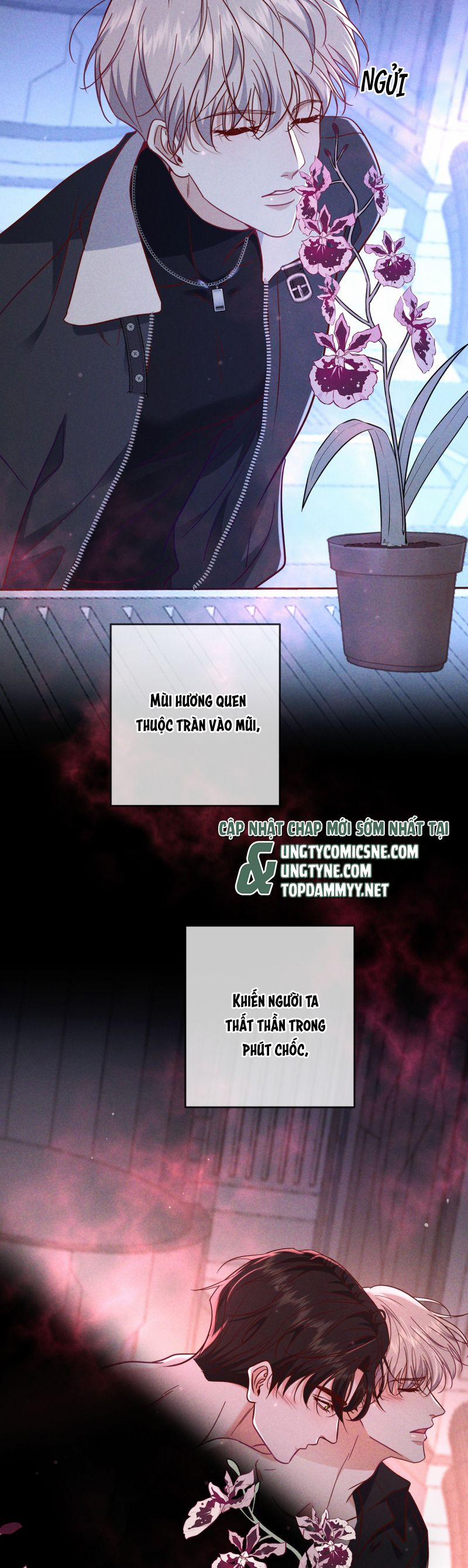 Đêm Tình Yêu Và Sát Ý 55 trang 10