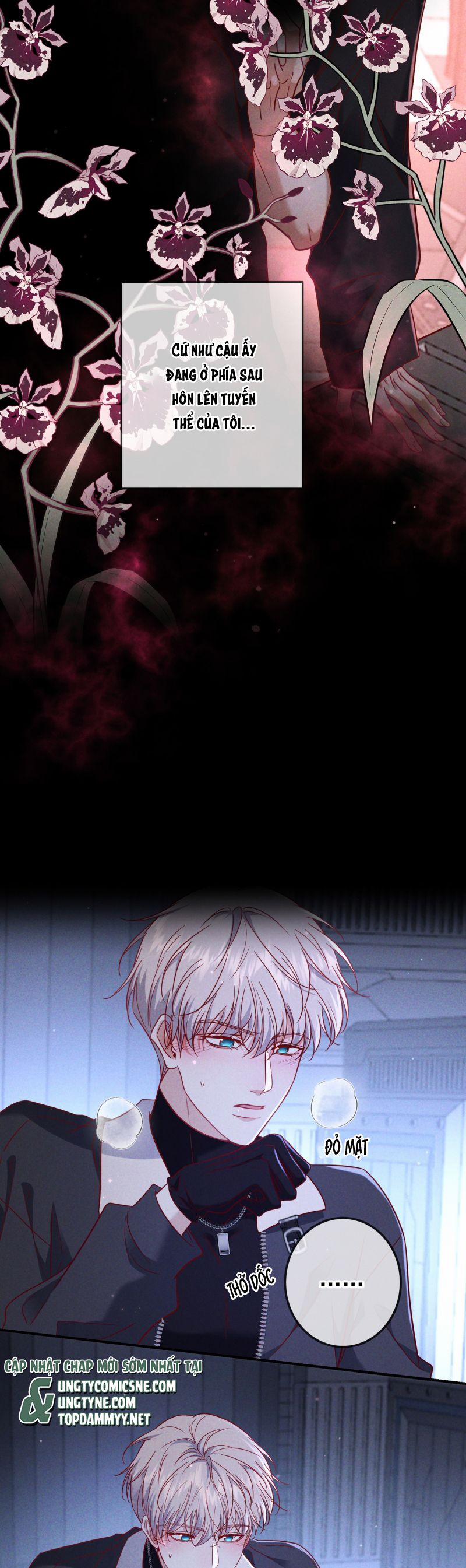Đêm Tình Yêu Và Sát Ý 55 trang 11