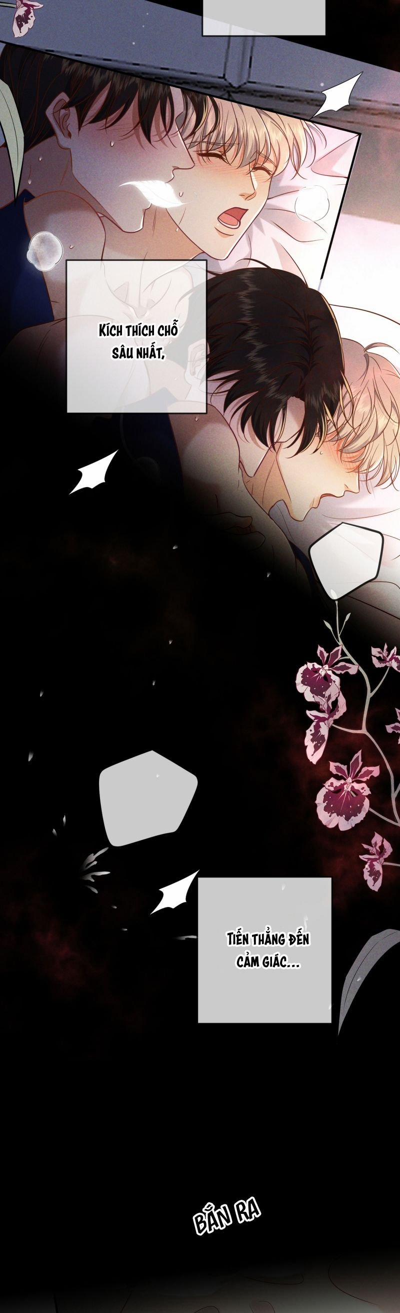 Đêm Tình Yêu Và Sát Ý 56 trang 12