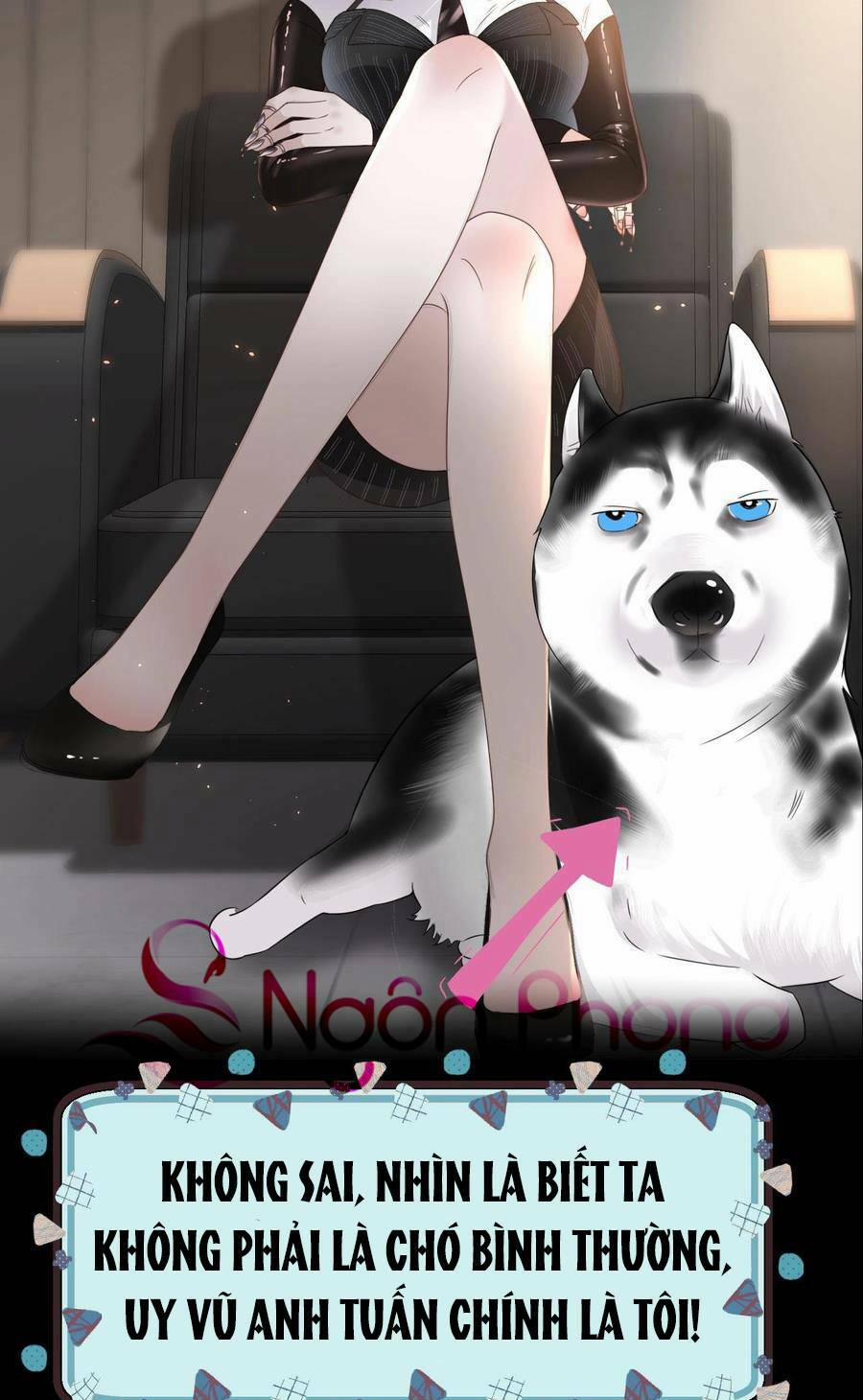 Đêm Tối Ái Muội 0 trang 2