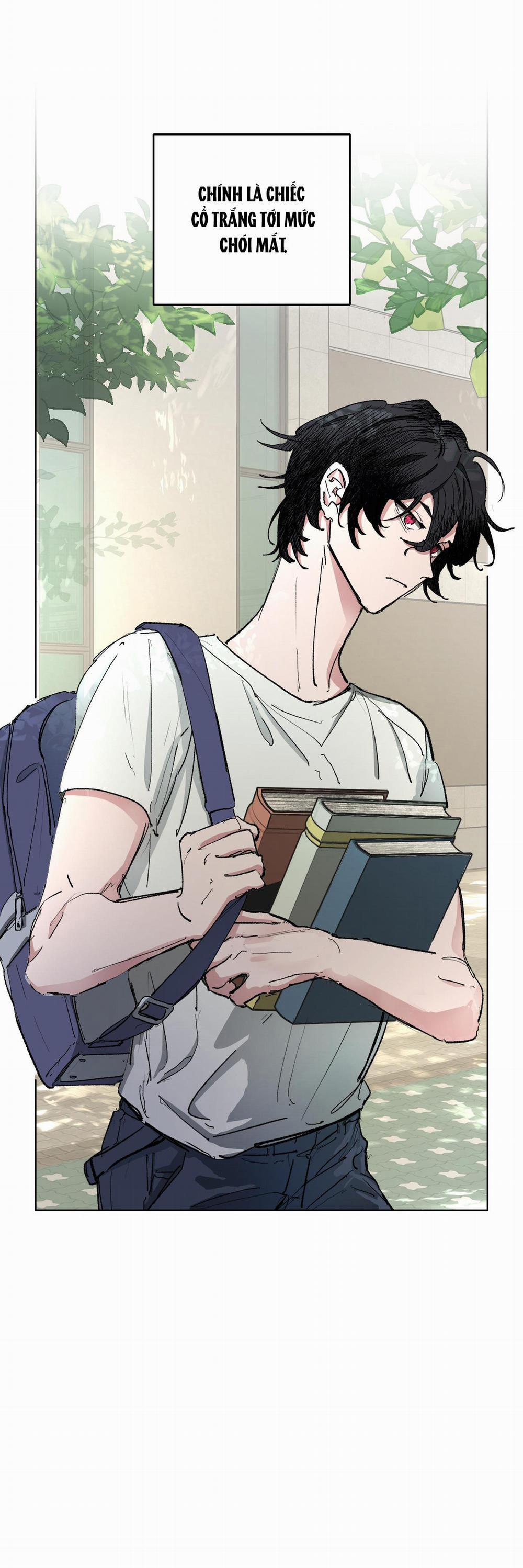 DEMISE TUTOR 1 trang 2