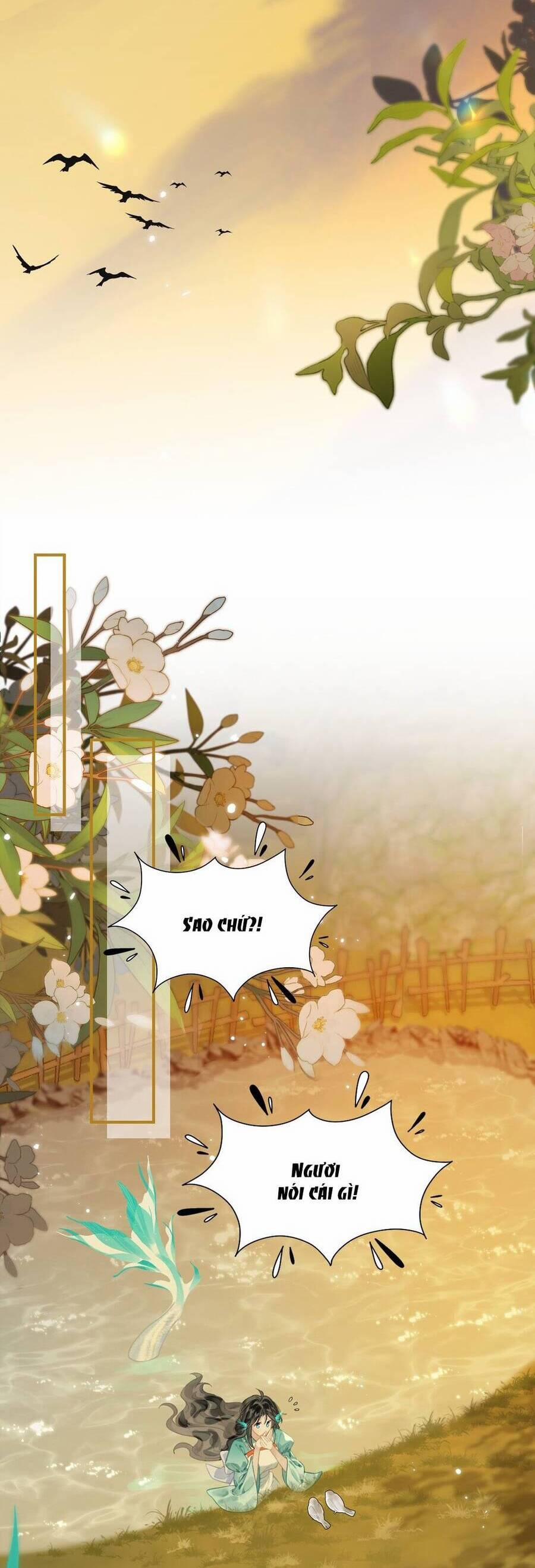 Đến Đông Hải Tìm Mỹ Nhân 12 trang 13