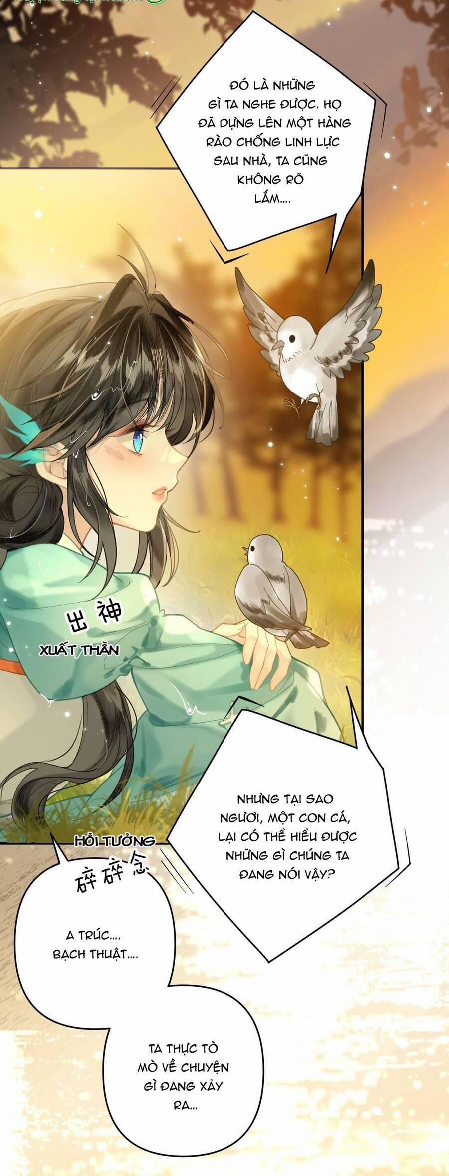 Đến Đông Hải Tìm Mỹ Nhân 12 trang 16