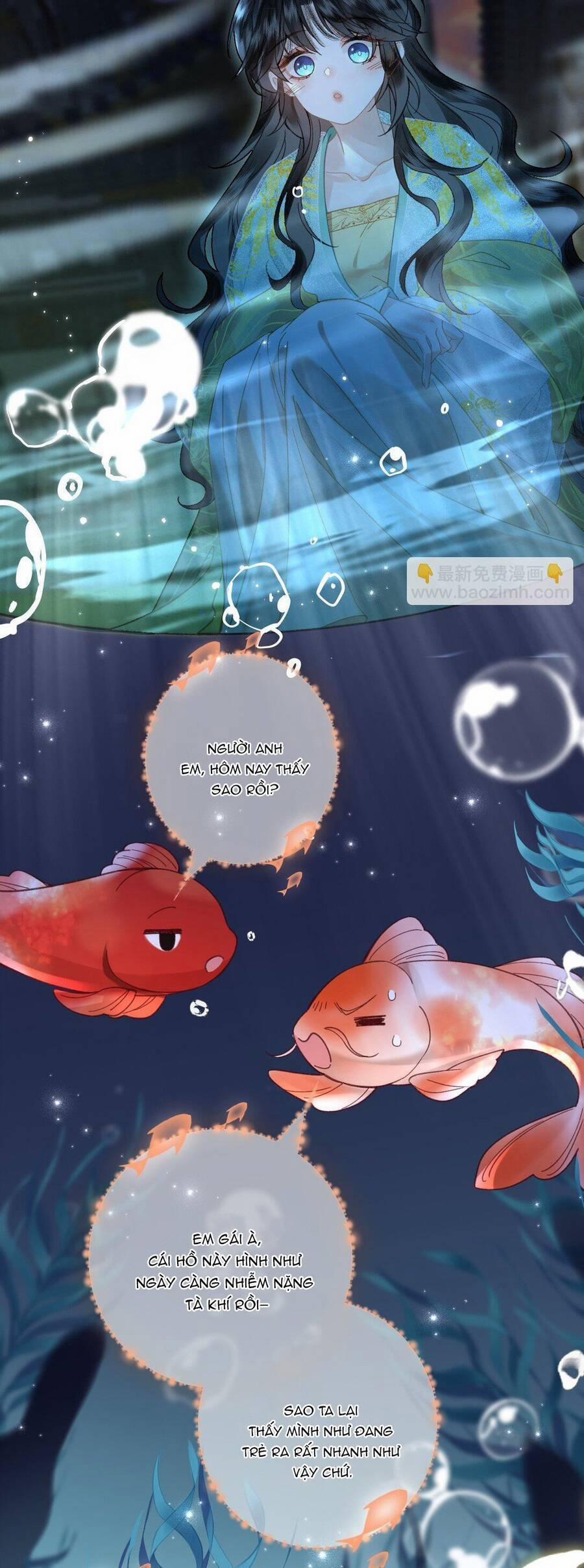 Đến Đông Hải Tìm Mỹ Nhân 26 trang 13