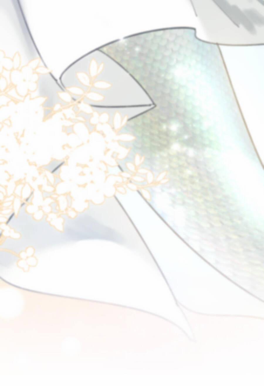 Đến Đông Hải Tìm Mỹ Nhân 6 trang 11