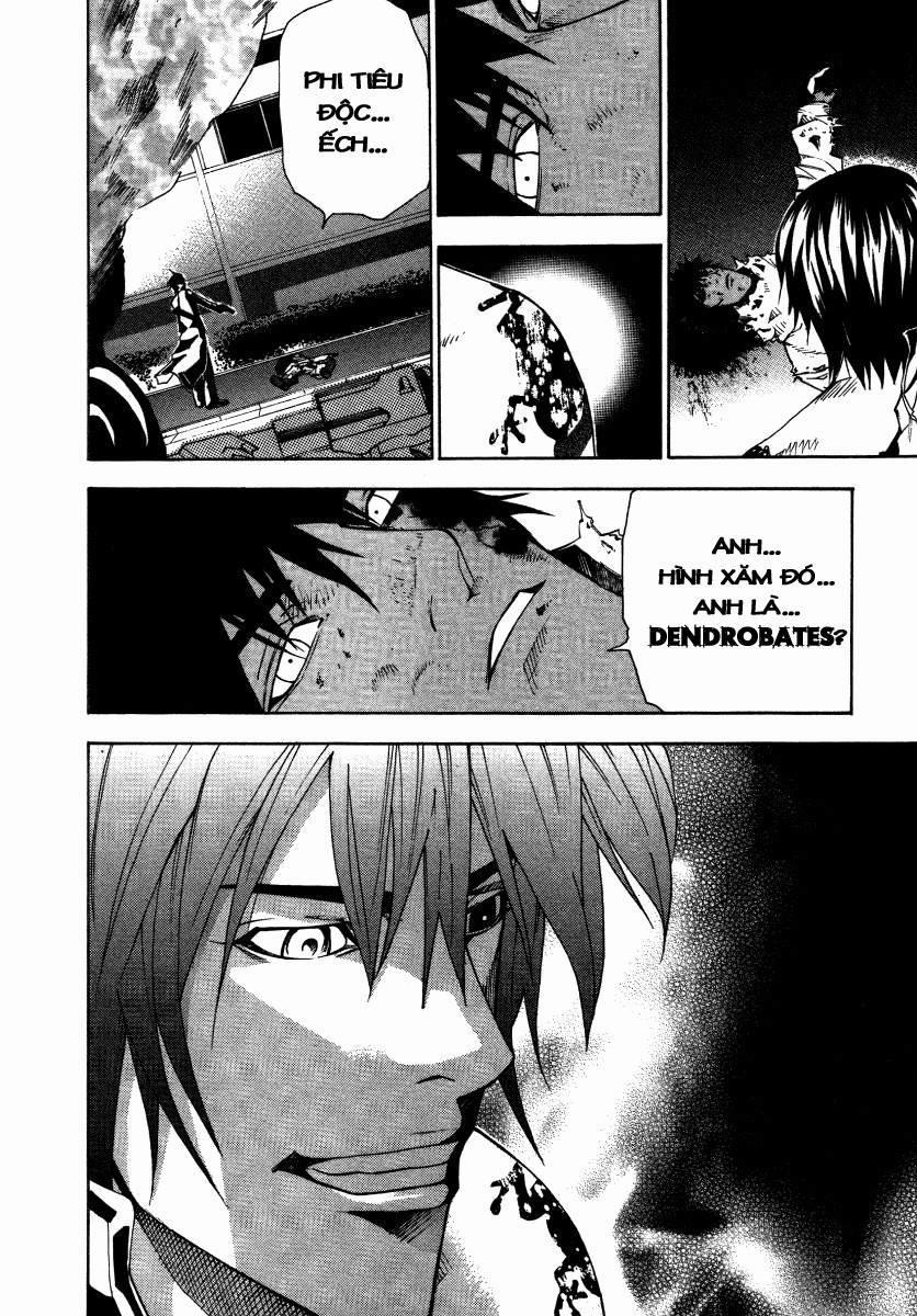 Dendrobates 13 trang 11