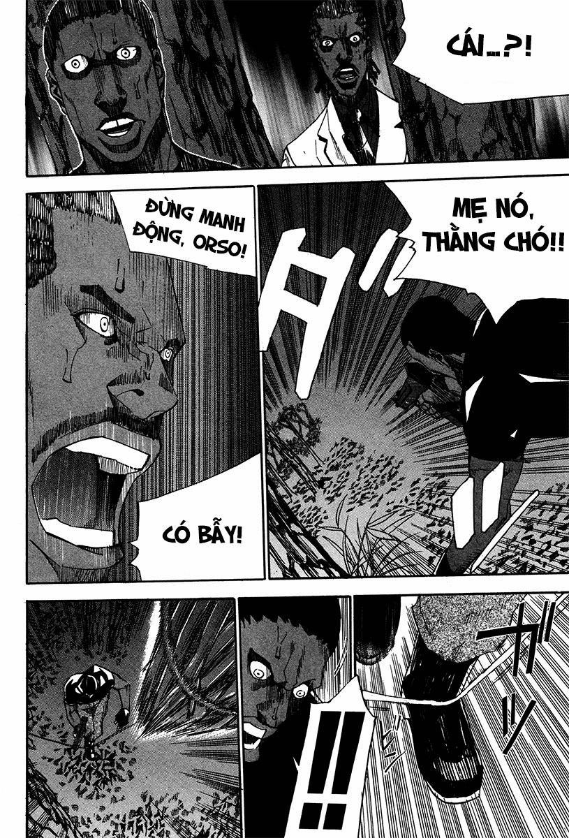 Dendrobates 21 trang 11