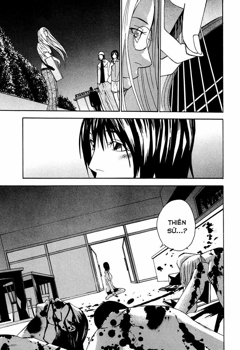 Dendrobates 22 trang 19