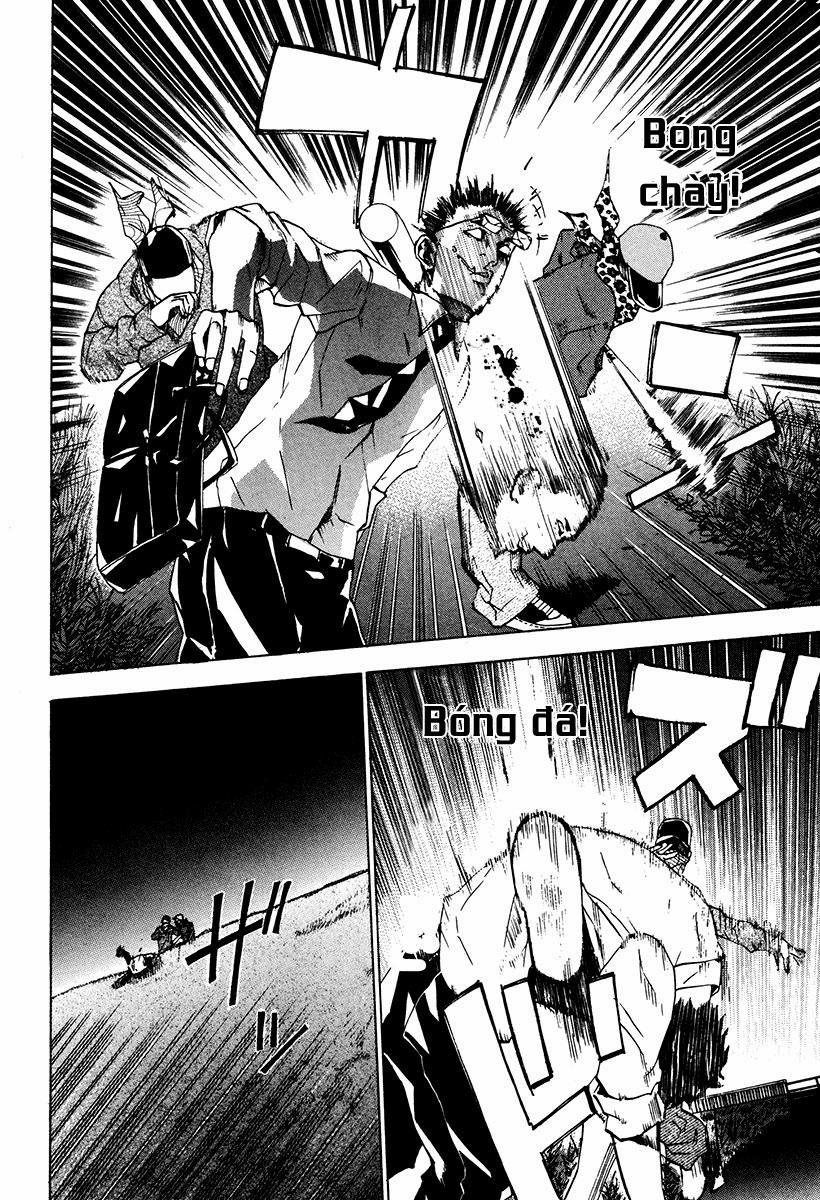 Dendrobates 24 trang 3